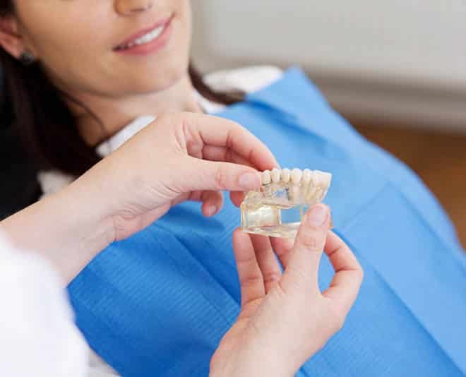 Dentist Holding Tooth Model — Your Holistic Dentists in Casuarina, NSW