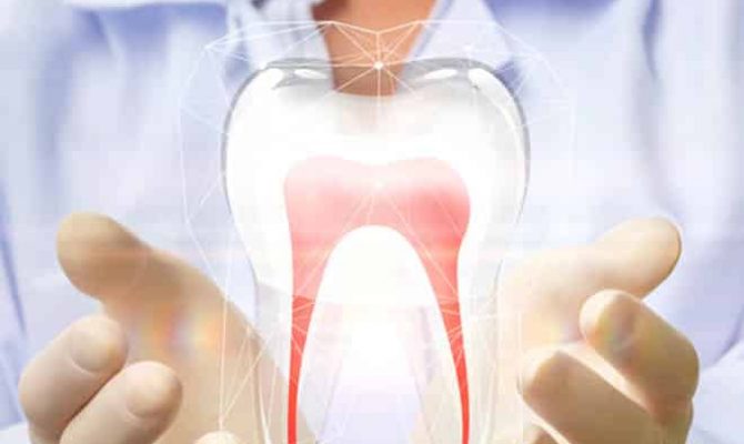 Dentist Holding Teeth Diagram — Your Holistic Dentists in Casuarina, NSW